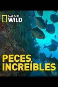 Poster Incredible Fish