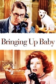 Bringing Up Baby (1938) online ελληνικοί υπότιτλοι