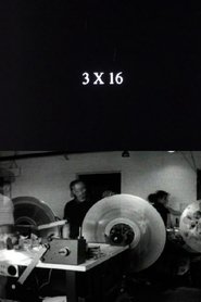 Poster 3 x 16 2007