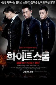 화이트 스톰 (2013)