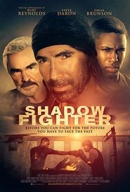 Shadow Fighter poster