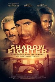 Shadow Fighter poster