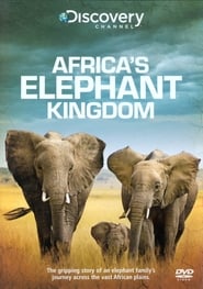Королівство слонів Африки постер