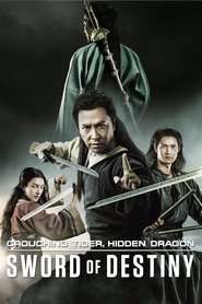 crouching tiger hidden dragon sword of destiny