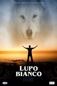 Poster Lupo bianco