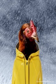 Poster Chicken: The Private Life 2010