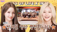 KISS OF LIFE: SWEAT or STARVE TOUR (EP. 71-2)