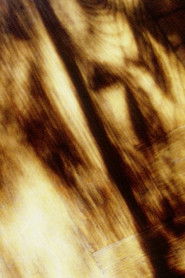 By Pain and Rhyme and Arabesques of Foraging (2013)