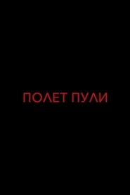 مشاهدة فيلم Полет пули 2017 مترجم بجودة عالية