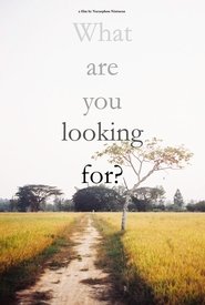 What are you looking for?