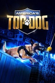 America’s Top Dog Season 1 Episode 8