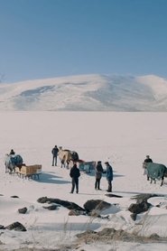 Kar Kırmızı (2020)