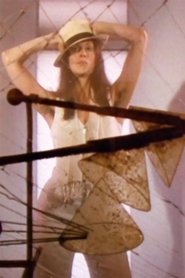 Poster Hannah Wilke Through the Large Glass 1976