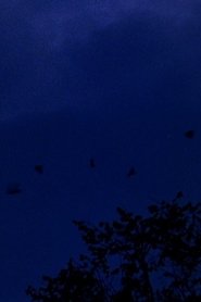 Poster murmurations 1970