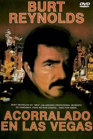 Acorralado en Las Vegas