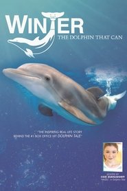 Poster Winter, the Dolphin that Can 2013