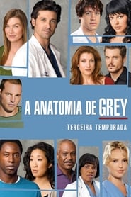 Assistir A Anatomia de Grey Temporada 3 Online