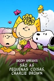 Snoopy Apresenta: São as Pequenas Coisas, Charlie Brown