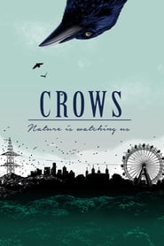 Poster Crows - Nature Is Watching Us 2023