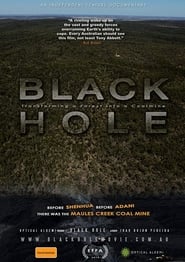 Black Hole постер