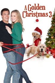 A Golden Christmas 3 (2013)