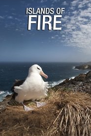 Poster Islands of Fire 2019