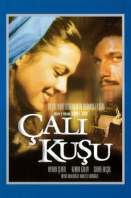 Корольок - пташка співоча постер