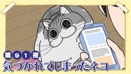 Night 91: Exposed Cat