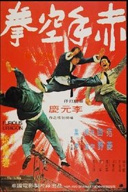 Furious Dragon (1973)