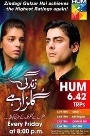 Zindagi Gulzar Hai Zindagi Gulzar Hai