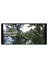 Poster for Hurricane, or Irene