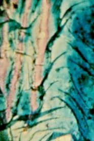 Poster In Diep Hust 1984