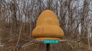 Pennsylvania's Roswell
