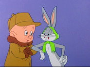 Rabbit Romeo