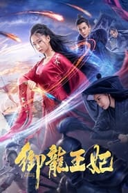 Poster 御龙王妃