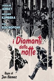 I diamanti della notte) I diamanti della notte (1964)