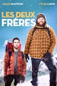 Les deux frères streaming