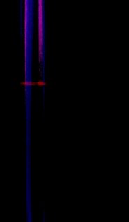 Poster Blavatsky's Exodus 2018