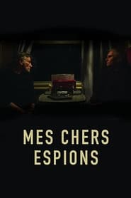 Poster Mes chers espions