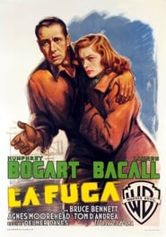 La fuga 1947 cineblog completare movie italia sottotitolo maxicinema
stream hd download