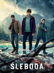 Poster for Limited Series