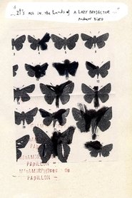Poster Métamorphoses du Papillon 2014