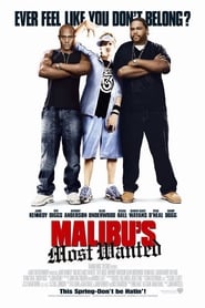 Film Le Rappeur de Malibu streaming