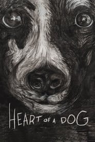 Heart of a Dog постер