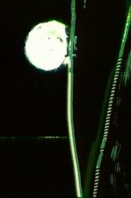 Poster Moonlight 1997