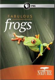 Fabulous Frogs streaming