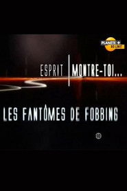 Esprit Montre-toi ! (2009)