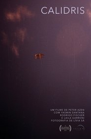 Poster Calidris 2019