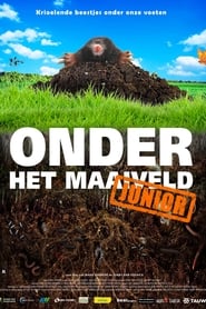 Poster Onder het maaiveld junior