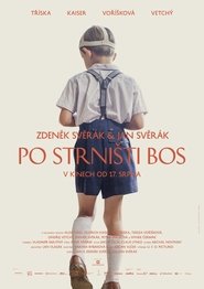 Po strništi bos 2017 Stream Bluray